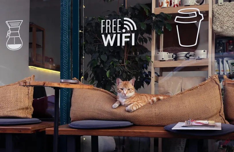 När är det extra riskabelt att använda publikt wifi